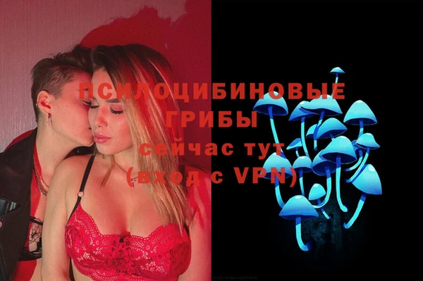 MDMA Белокуриха